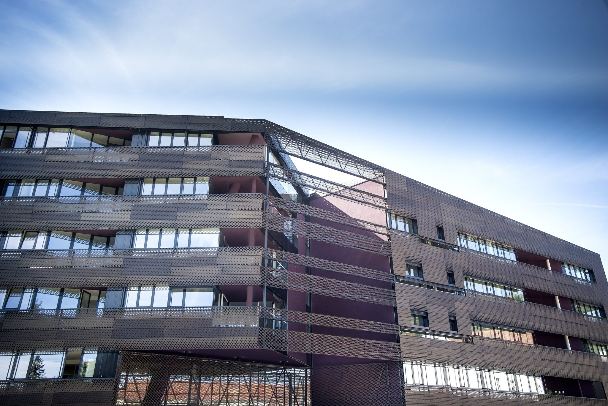 Pfauengarten-Steiermark